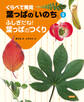 くらべて発見 葉っぱの「いのち」 ふしぎだね!葉っぱのつくり