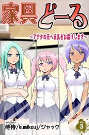 家具どーる～アナタの元へ玩具をお届けします～