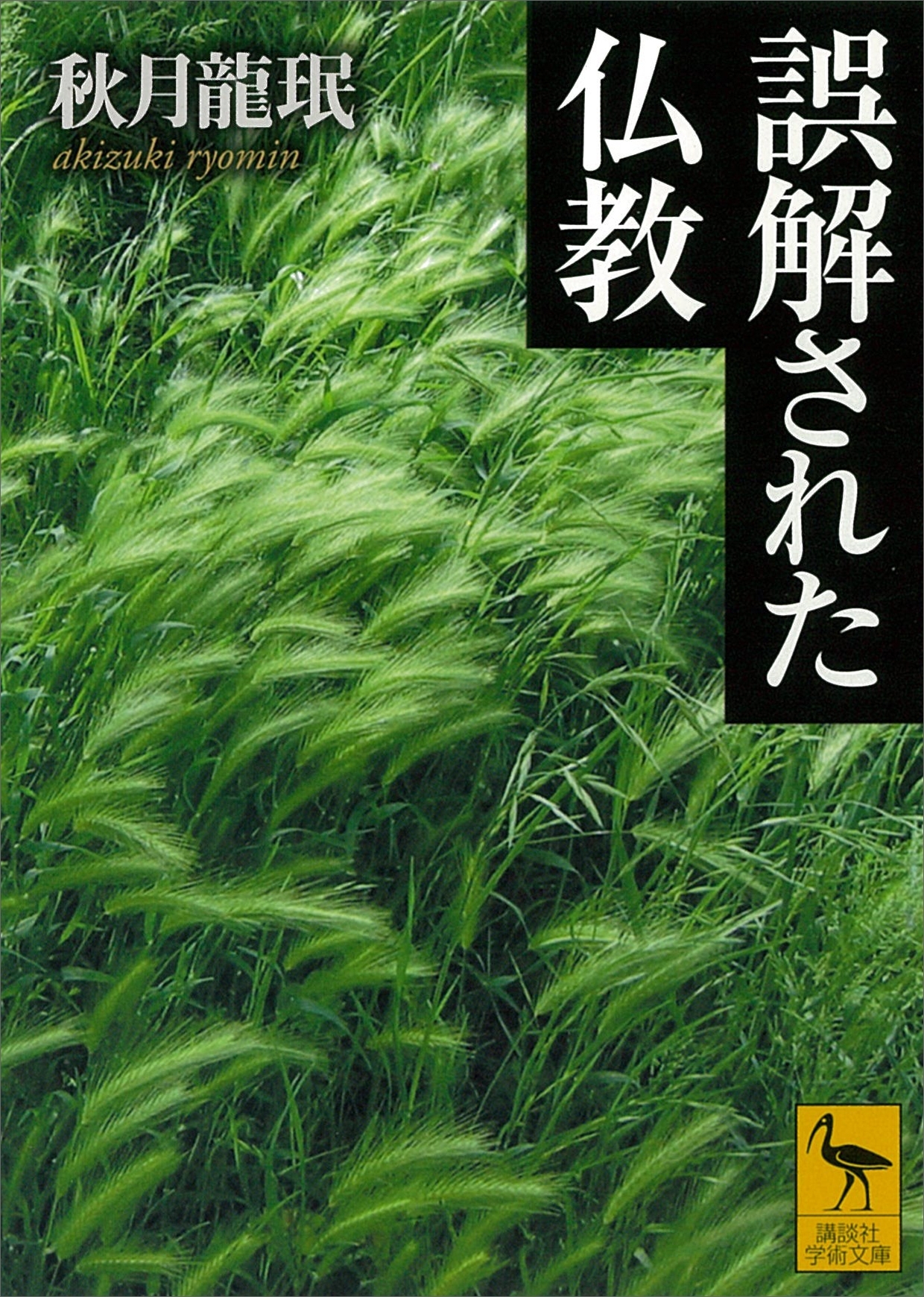 誤解された仏教