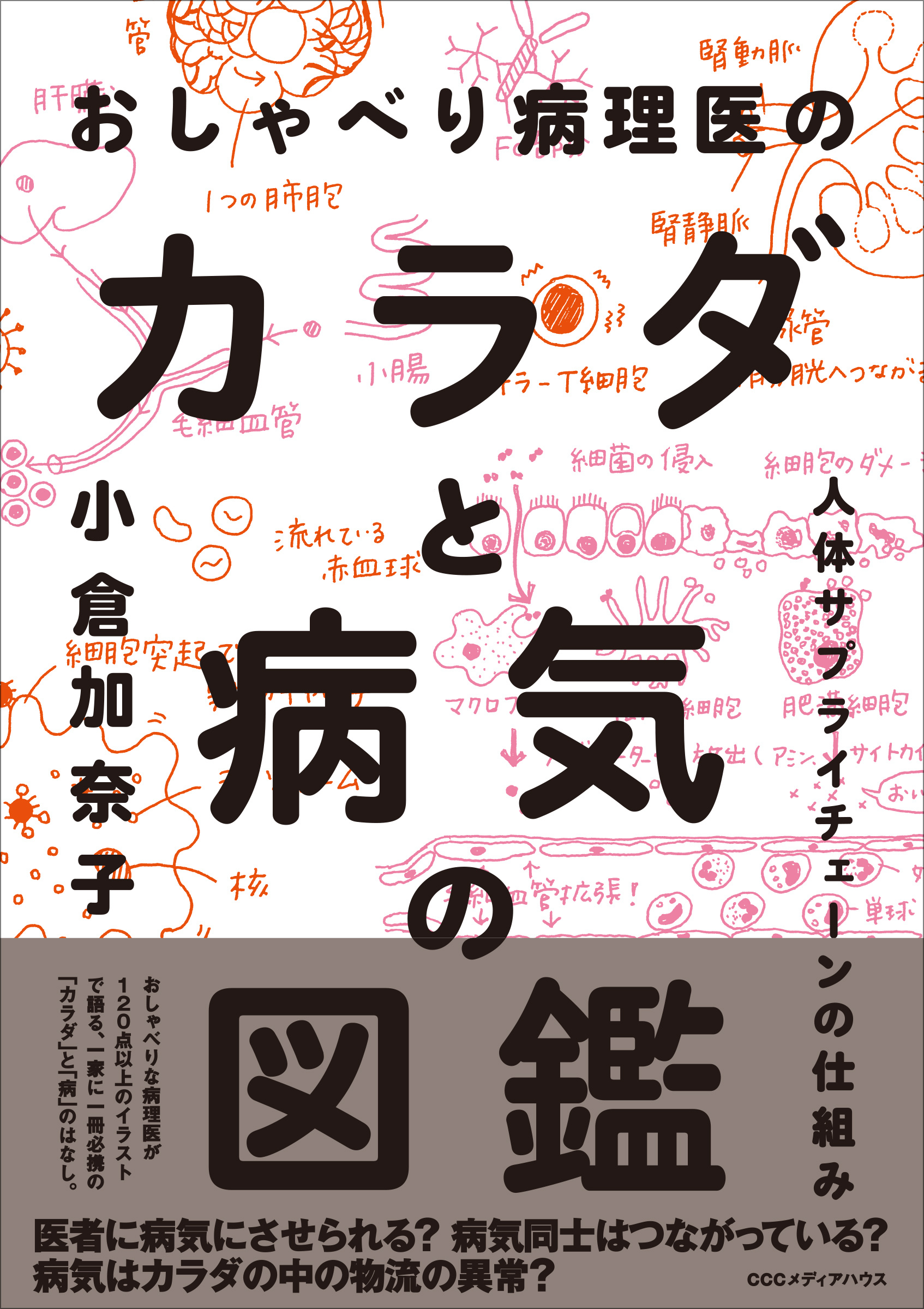 おしゃべり病理医のカラダと病気の図鑑  人体サプライチェーンの仕組み