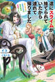 道にスライムが捨てられていたから連れて帰りました ~おじさんとスライムのほのぼの冒険ライフ~