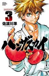 ハンザスカイ　3