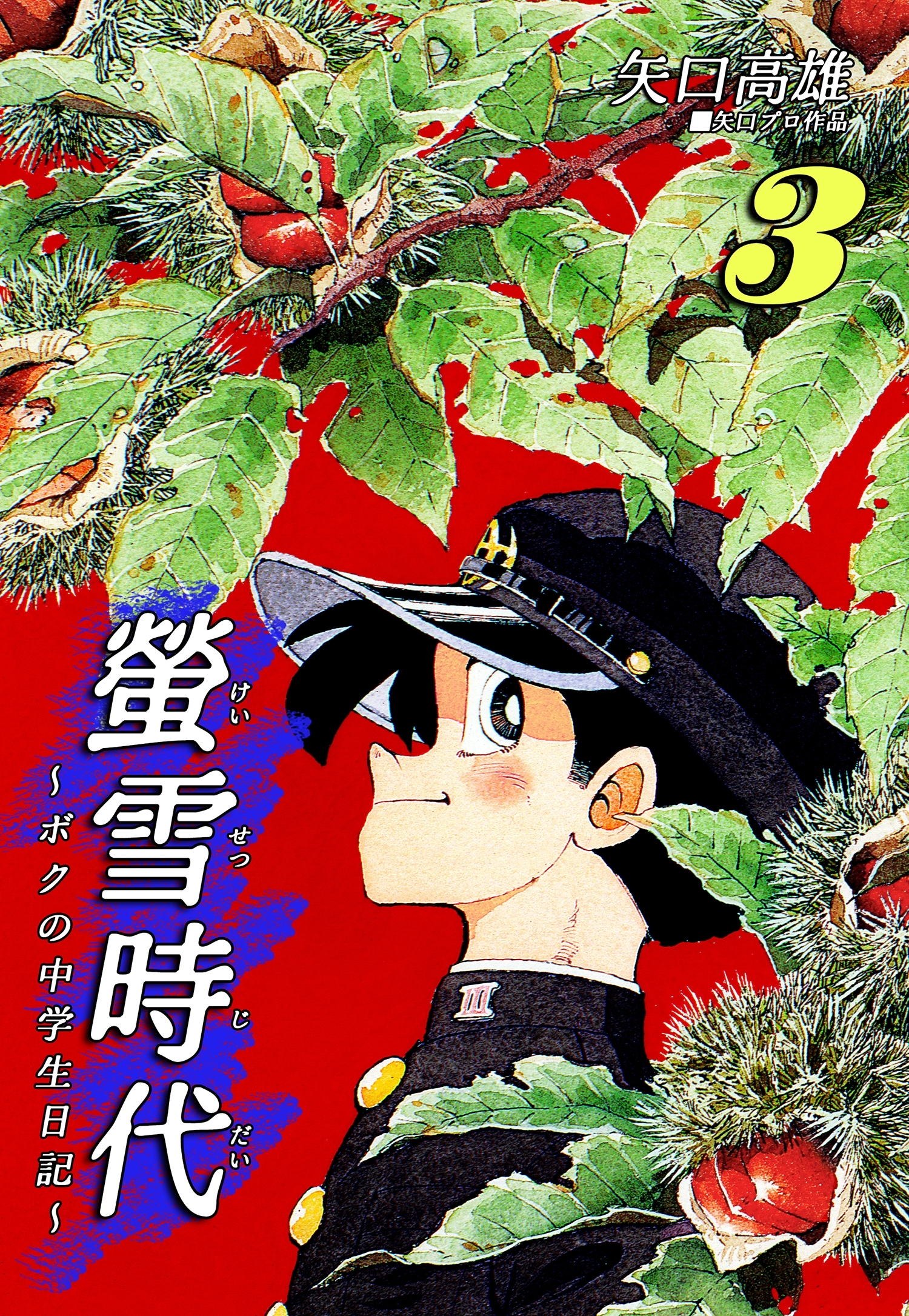 螢雪時代～ボクの中学生日記～（3）