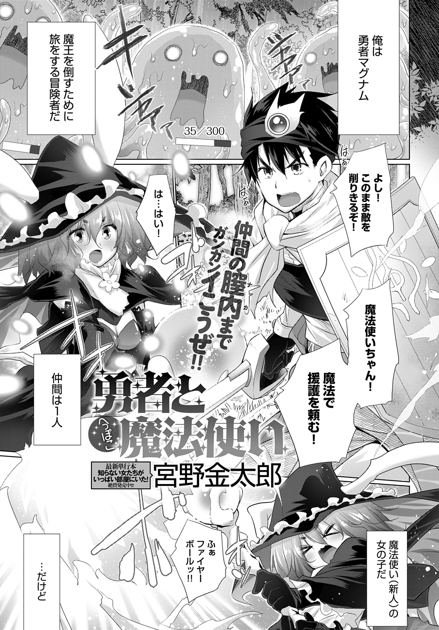 勇者とへっぽこ魔法使い