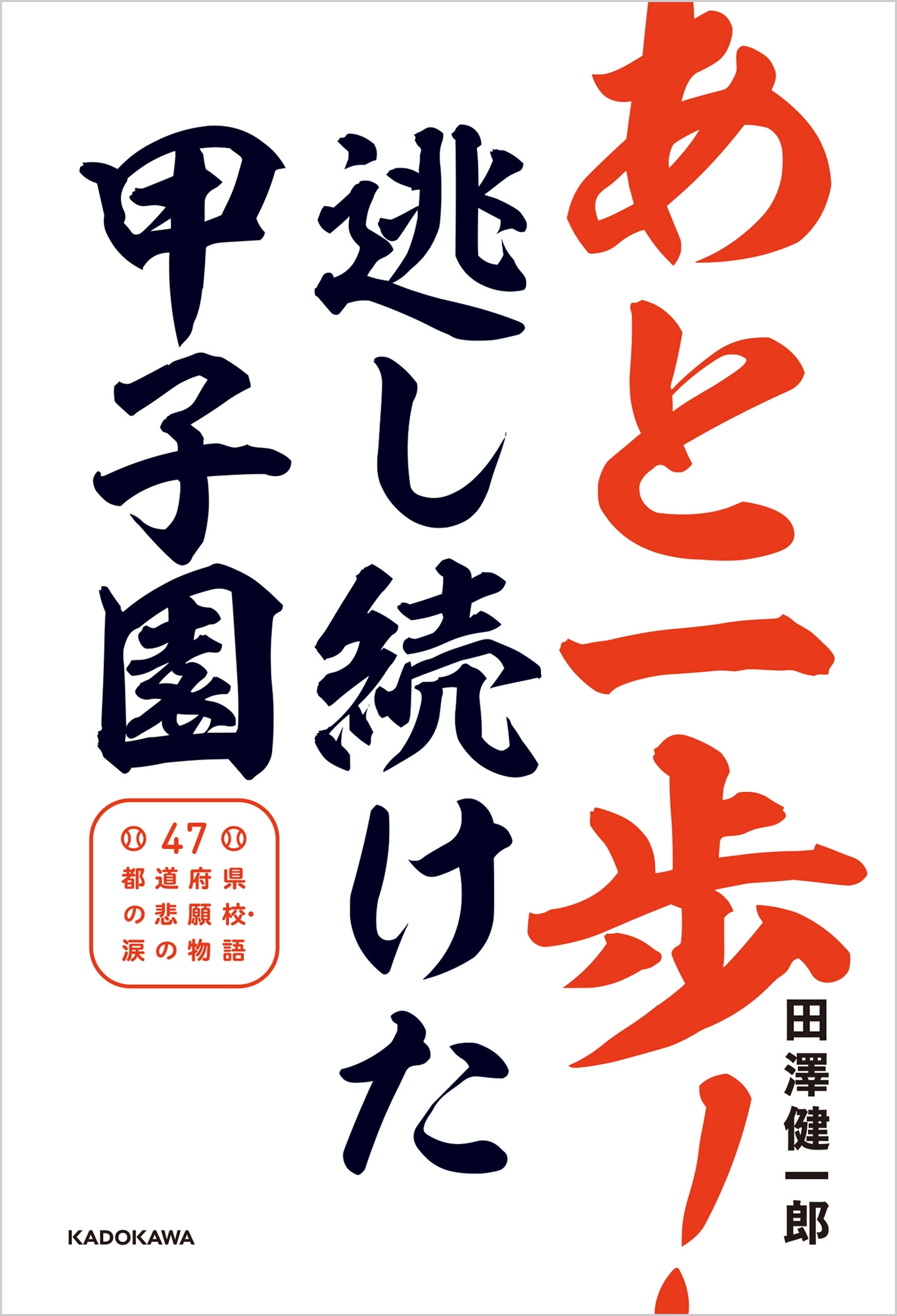 あと一歩！逃し続けた甲子園　４７都道府県の悲願校・涙の物語