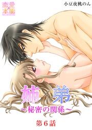 姉×弟～秘密の関係～ 6