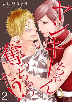 ヤンキーちゃん奪っちゃった!?【描き下ろしおまけ付き特装版】