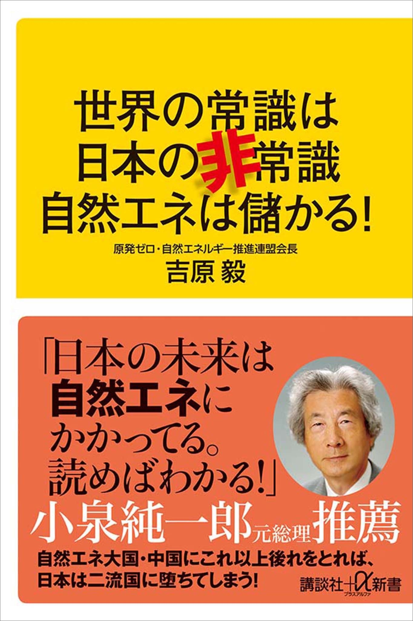世界の常識は日本の非常識　自然エネは儲かる！