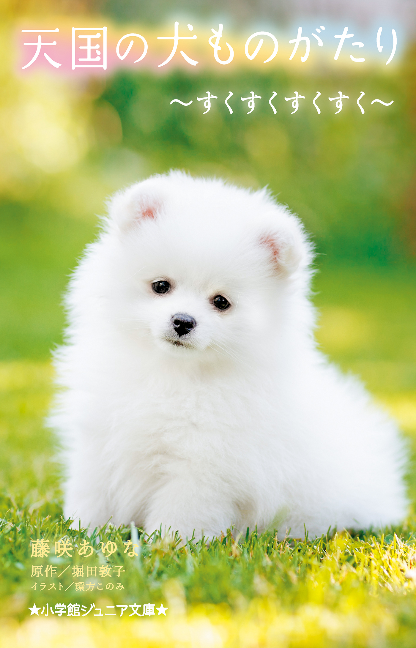 小学館ジュニア文庫　天国の犬ものがたり～すくすくすくすく～