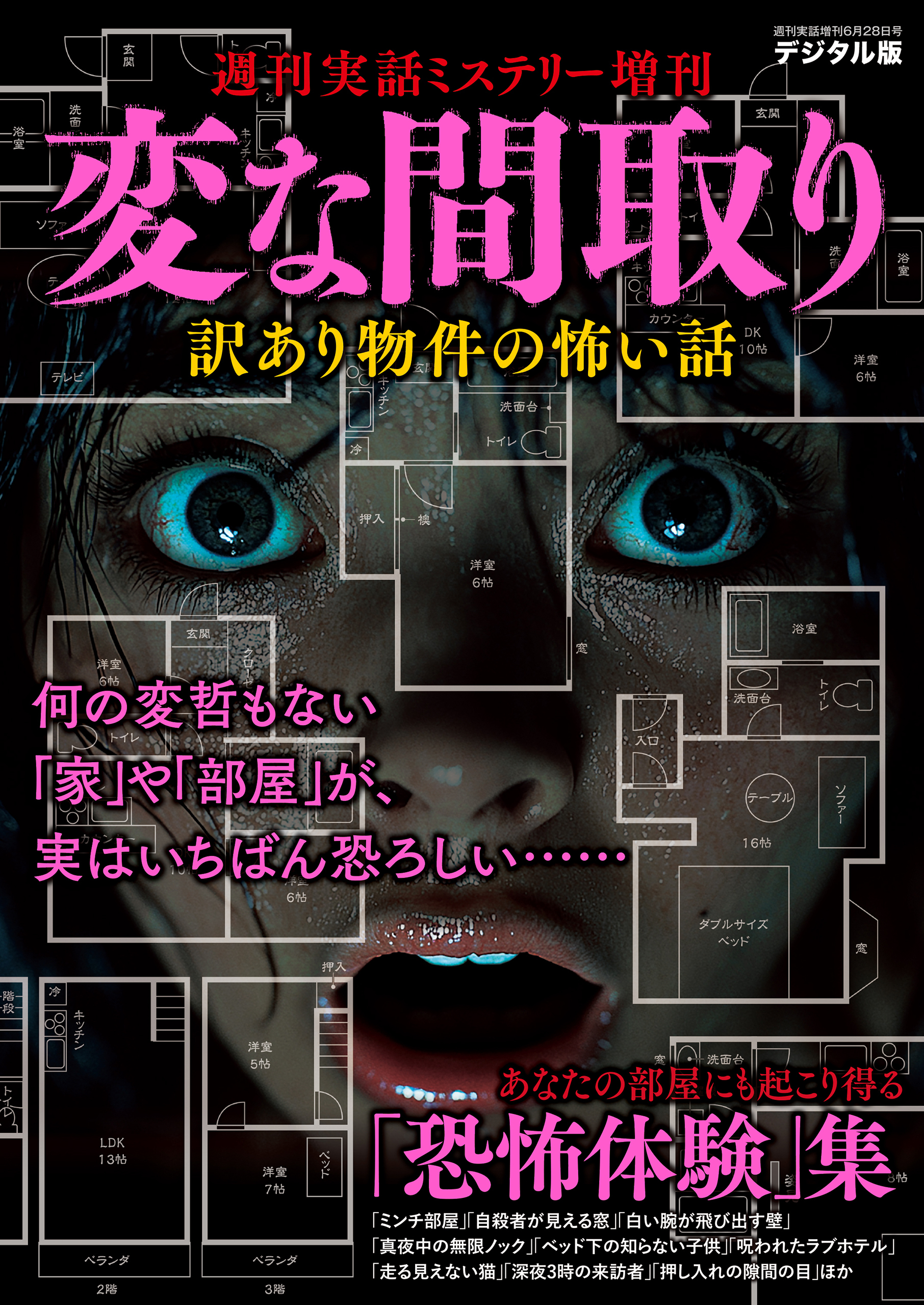 週刊実話 増刊　変な間取り