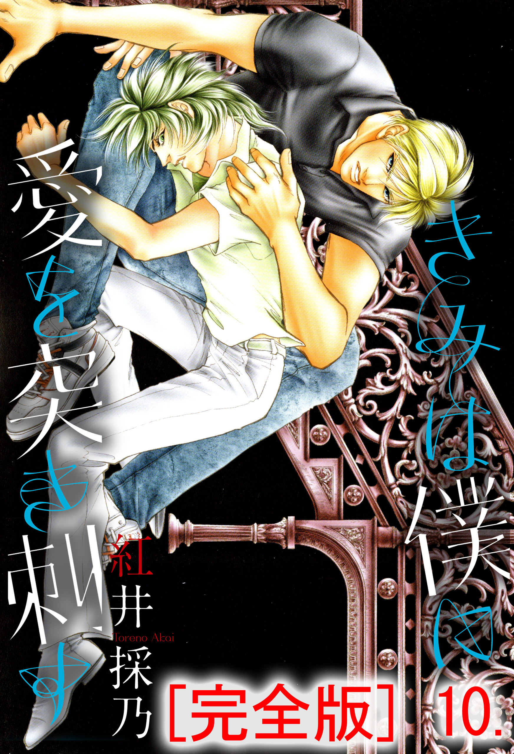 きみは僕に愛を突き刺す【完全版】　10