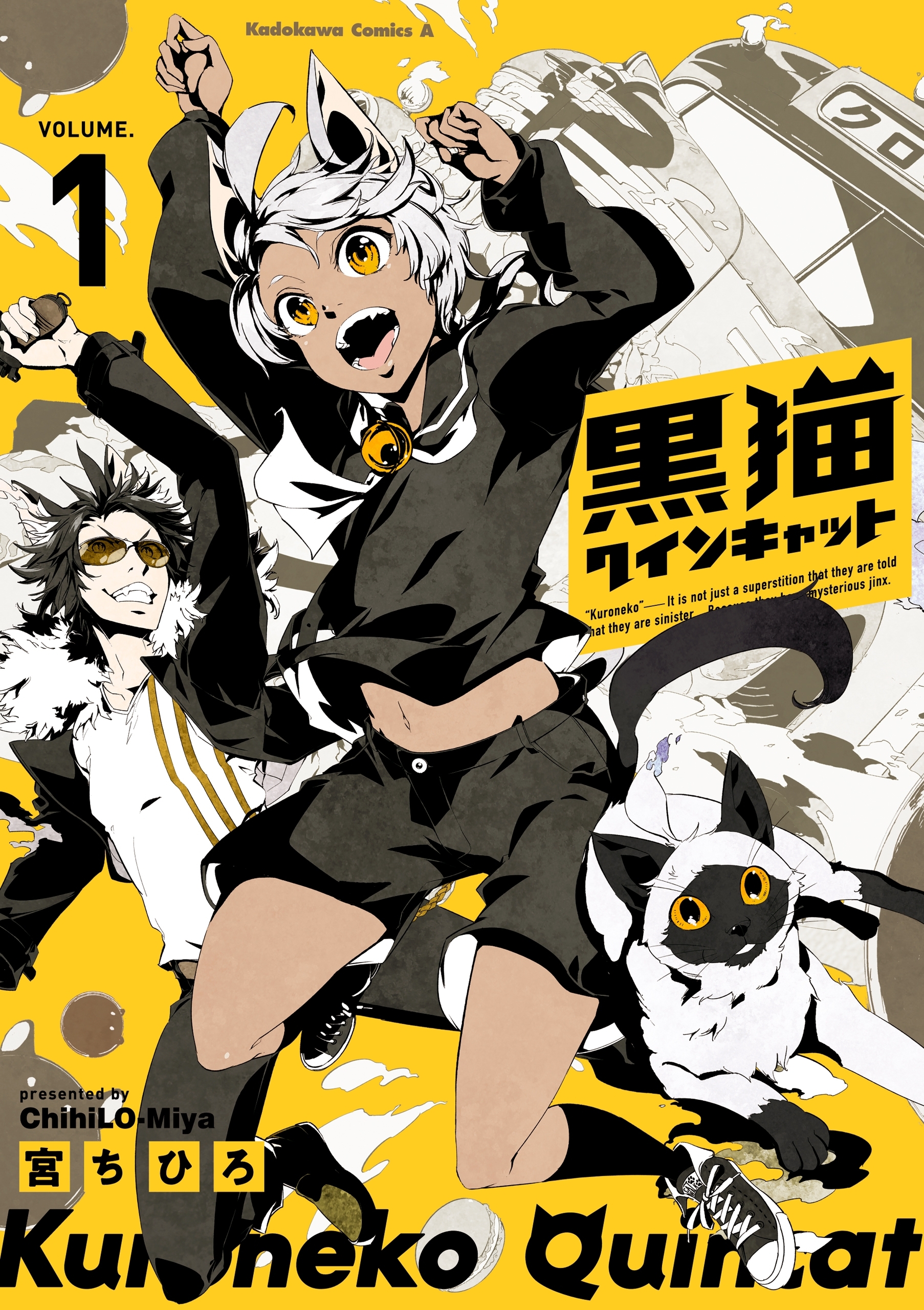 黒猫クインキャット(１)