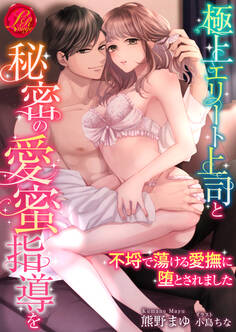 極上エリート上司と秘密の愛蜜指導を ~不埒で蕩ける愛撫に堕とされました~