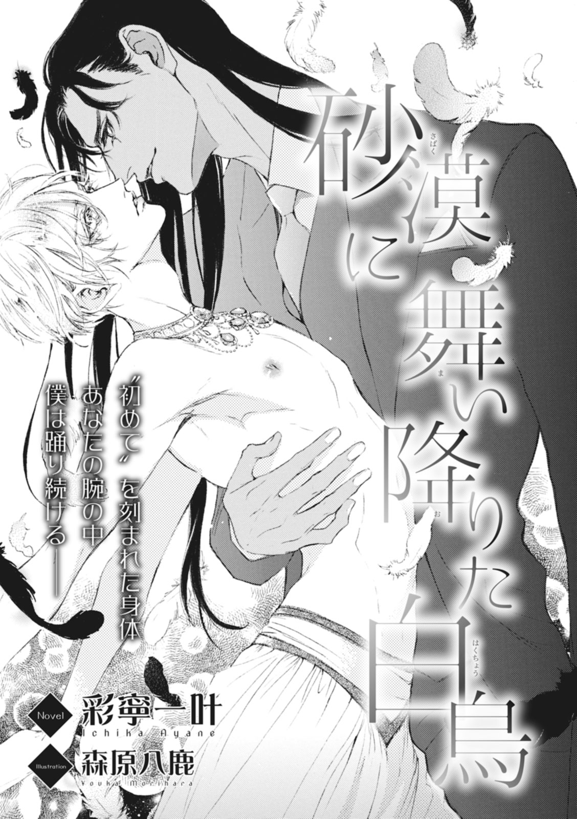 砂漠に舞い降りた白鳥【イラスト入り】