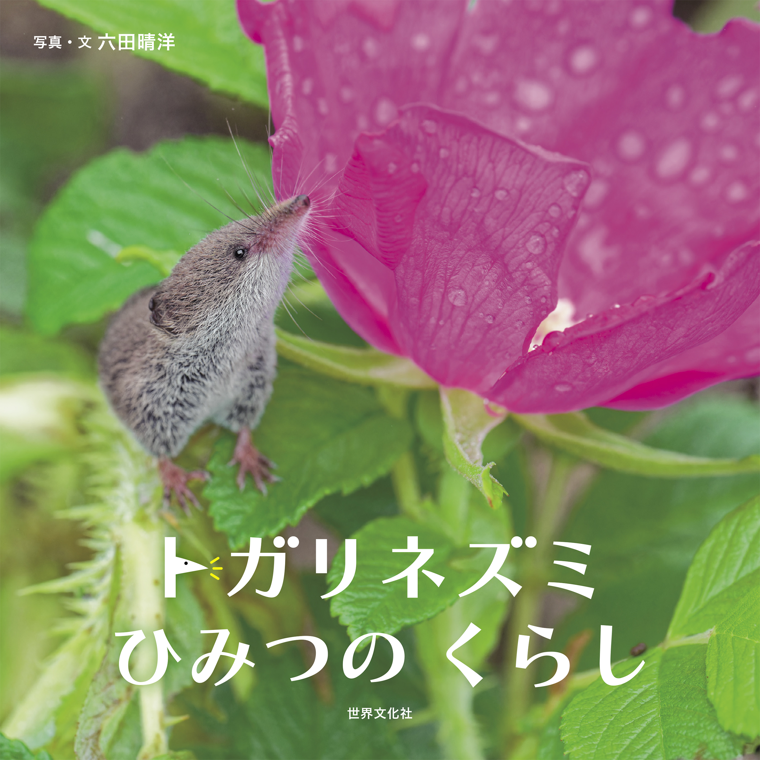 トガリネズミ ひみつのくらし