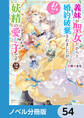 義妹が聖女だからと婚約破棄されましたが、私は妖精の愛し子です【ノベル分冊版】 54
