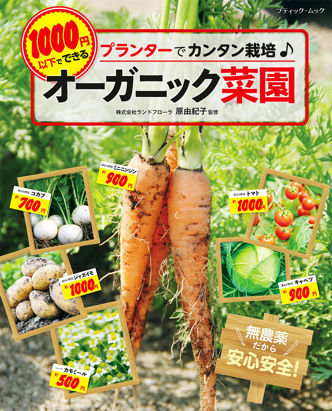 1000円以下でできるオーガニック菜園