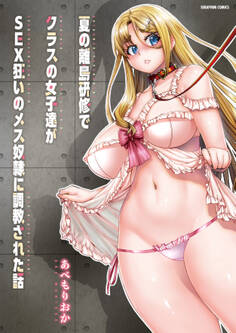 夏の離島研修でクラスの女子達がSEX狂いのメス――に――された話