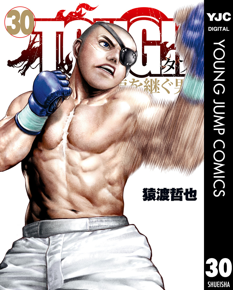 TOUGH 龍を継ぐ男全巻(1-30巻 最新刊)|猿渡哲也|人気漫画を無料で試し 