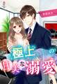 極上エリートの甘美な溺愛