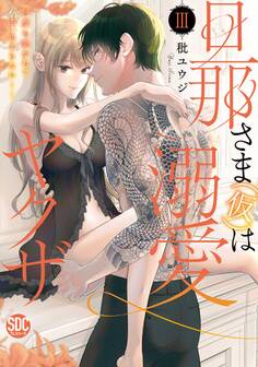 旦那さま(仮)は溺愛ヤクザ 何度も突かれて声、止まらない…!【コミックス版】【コミックス版限定特典付き】 3巻