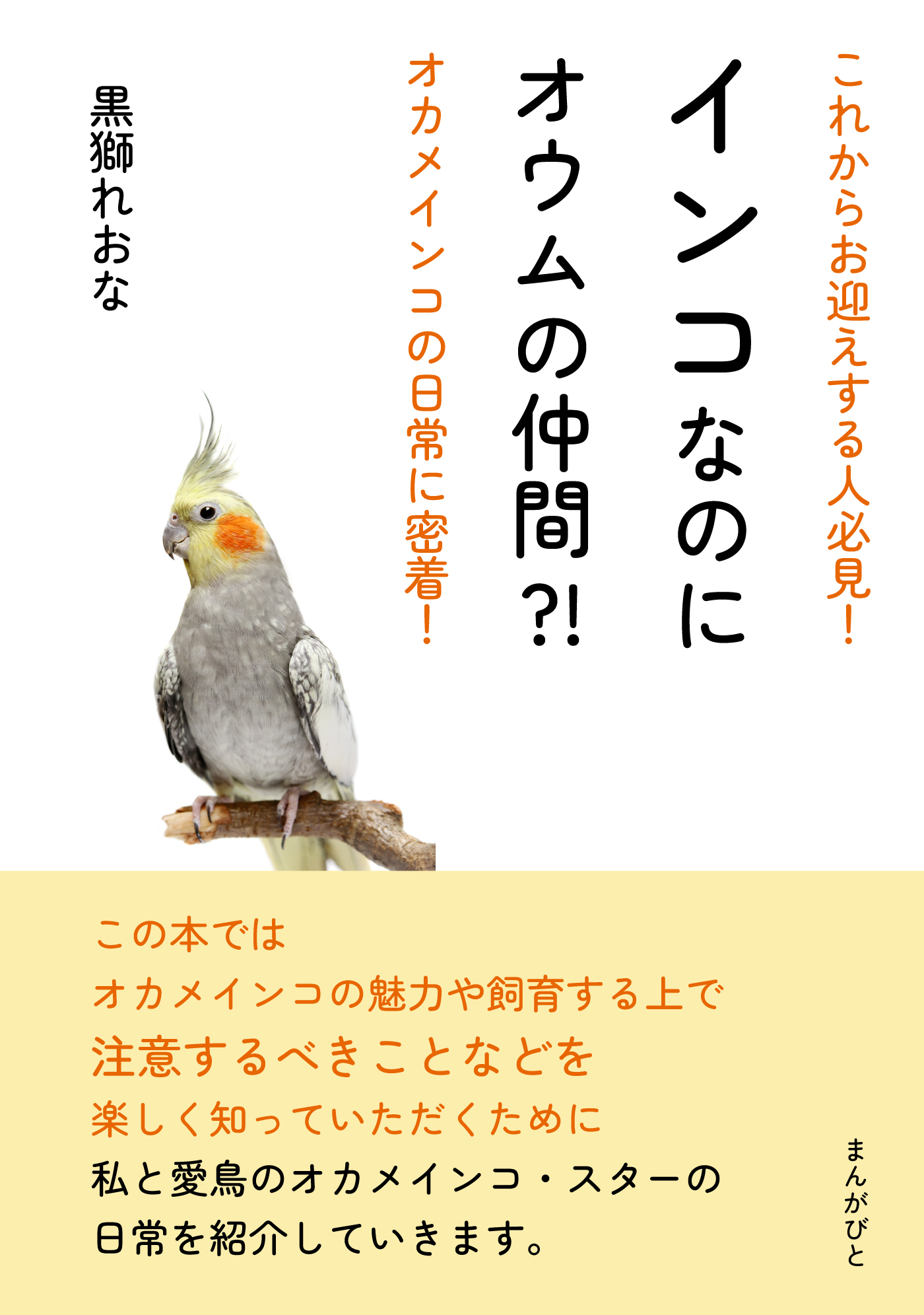 これからお迎えする人必見！インコなのにオウムの仲間？！オカメインコの日常に密着！