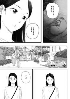 秋桜が咲いた日に