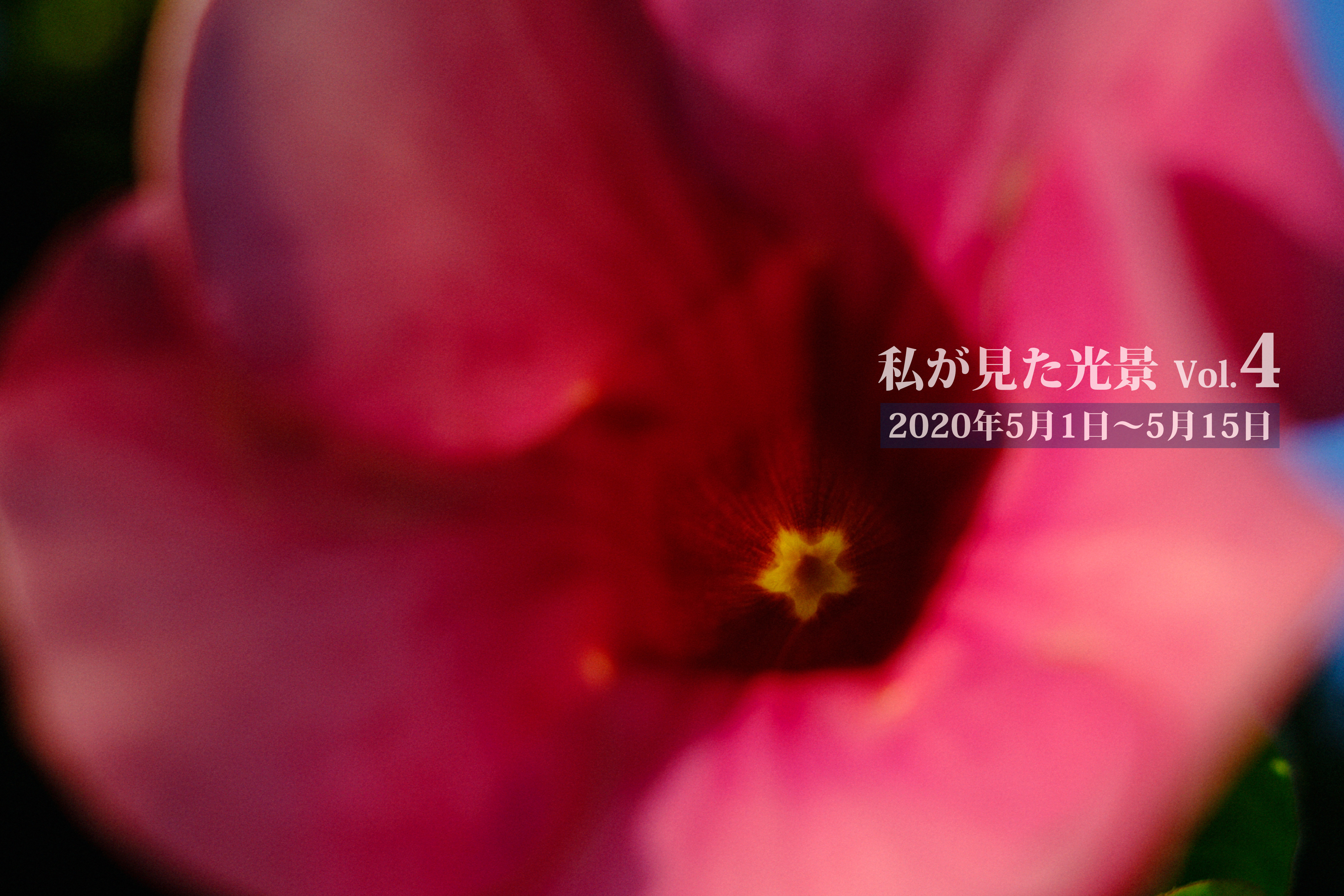 私が見た光景 vol.4 2020年5月1日～5月15日