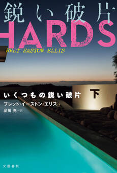 いくつもの鋭い破片