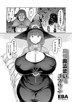 高慢魔法使いとゴブリン