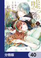 嘘つき陛下が私に執着する理由【分冊版】 40