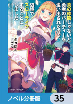 真の仲間じゃないと勇者のパーティーを追い出されたので、辺境でスローライフすることにしました【ノベル分冊版】 35