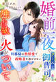 婚前一夜でクールな御曹司の独占欲に火がついて~旦那様は熱情愛で政略妻を逃がさない~
