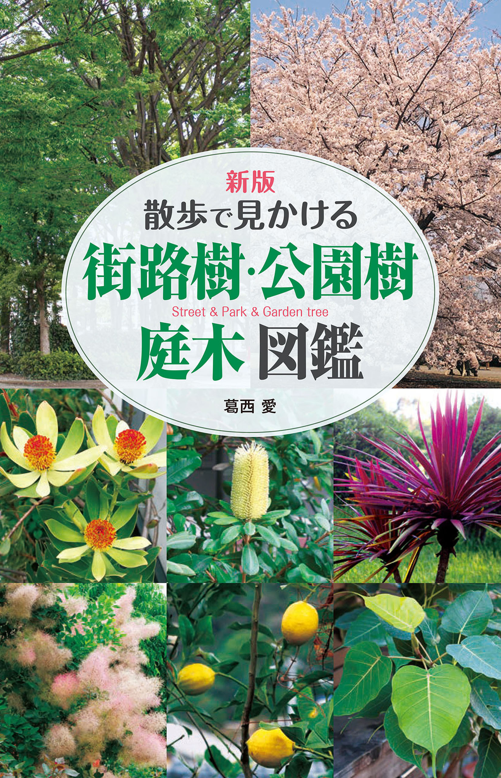 新版　散歩で見かける　街路樹・公園樹・庭木図鑑