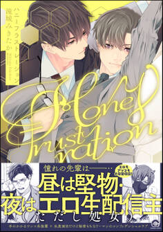 ハニーフラストレーション【電子限定かきおろし漫画4P付】