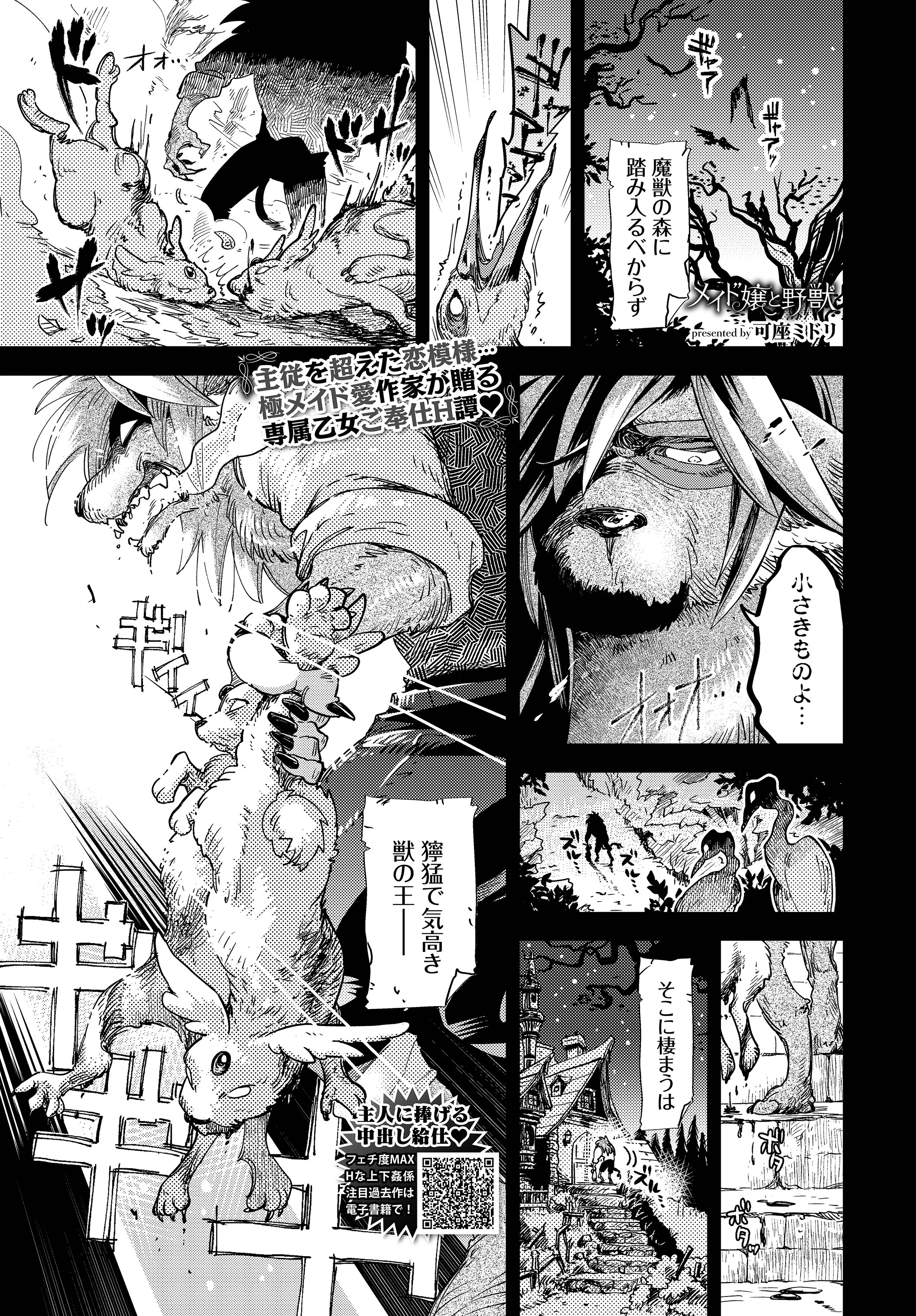 メイド嬢と野獣