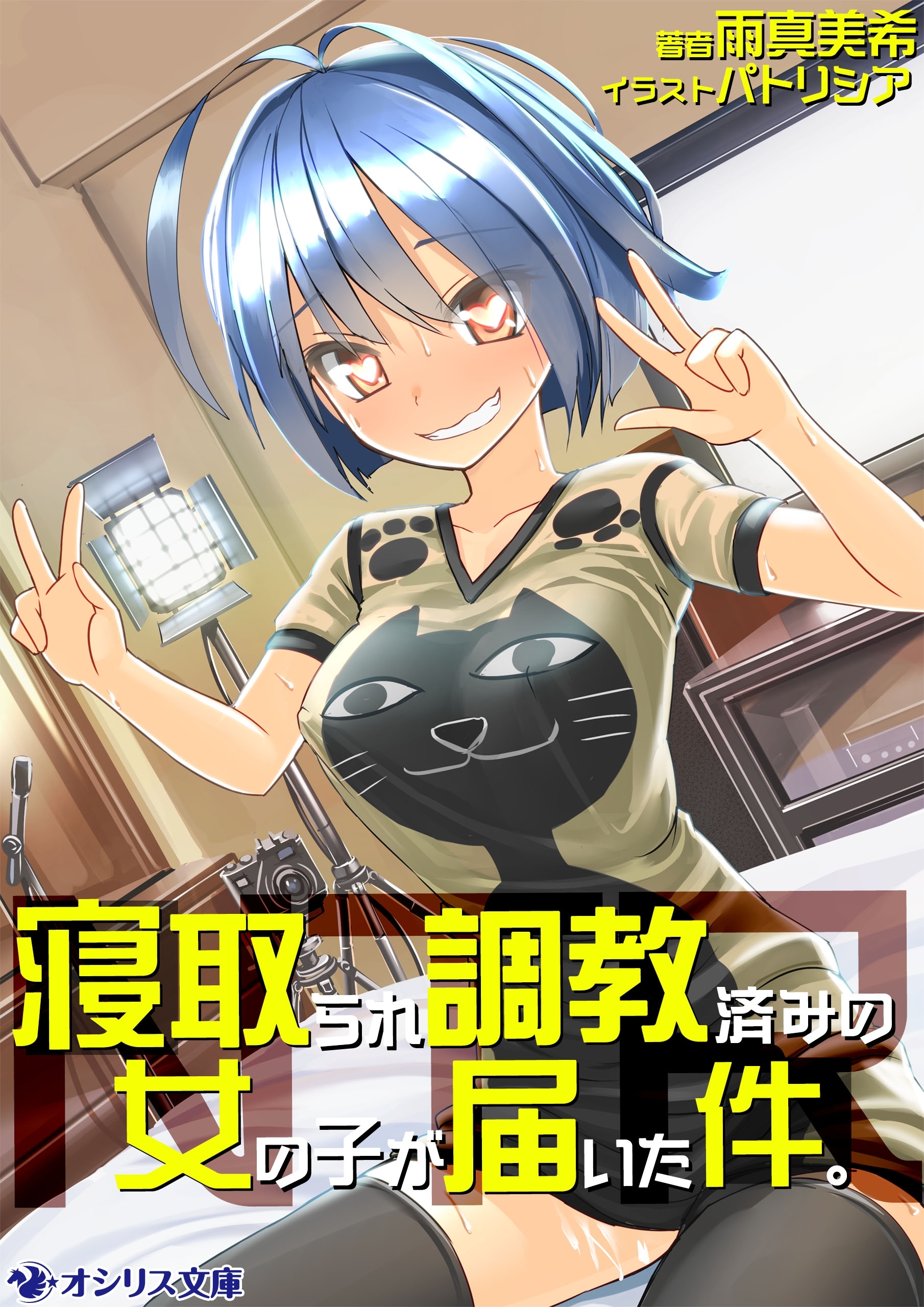 寝取られ調教済みの女の子が届いた件。