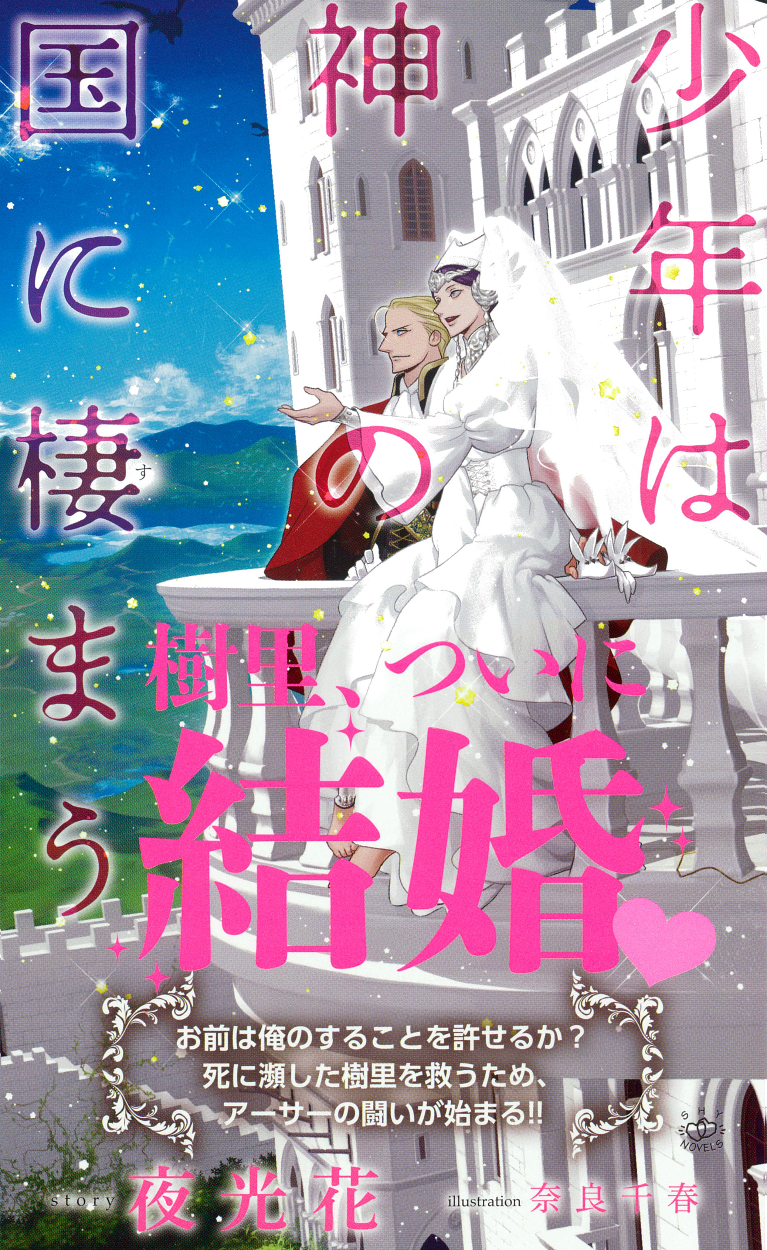 少年は神シリーズ