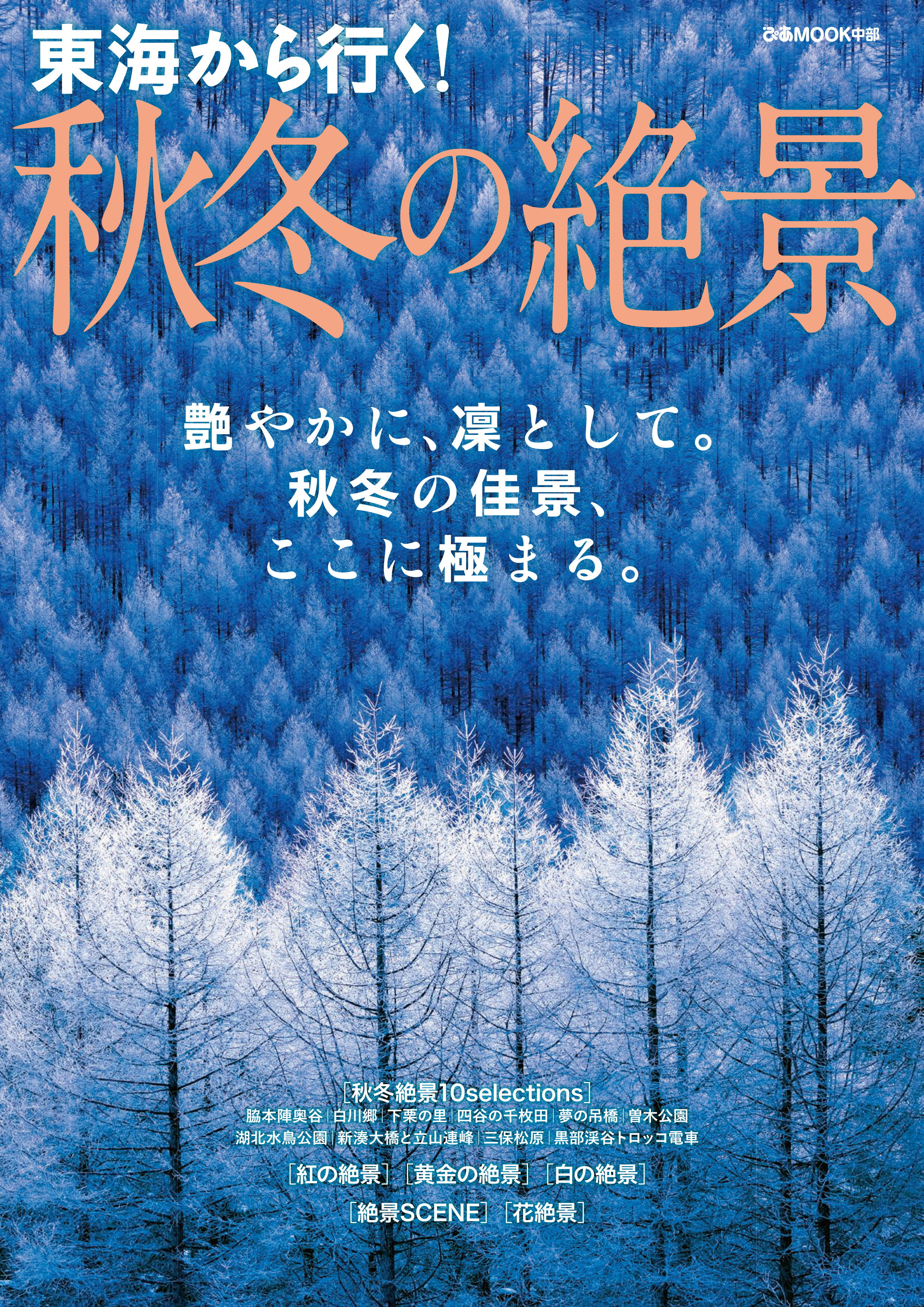 東海から行く！秋冬の絶景