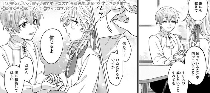 私が聖女？いいえ、悪役令嬢です！～なので、全員破滅は阻止させていただきます～ 8【電子限定おまけ付き】のコマ