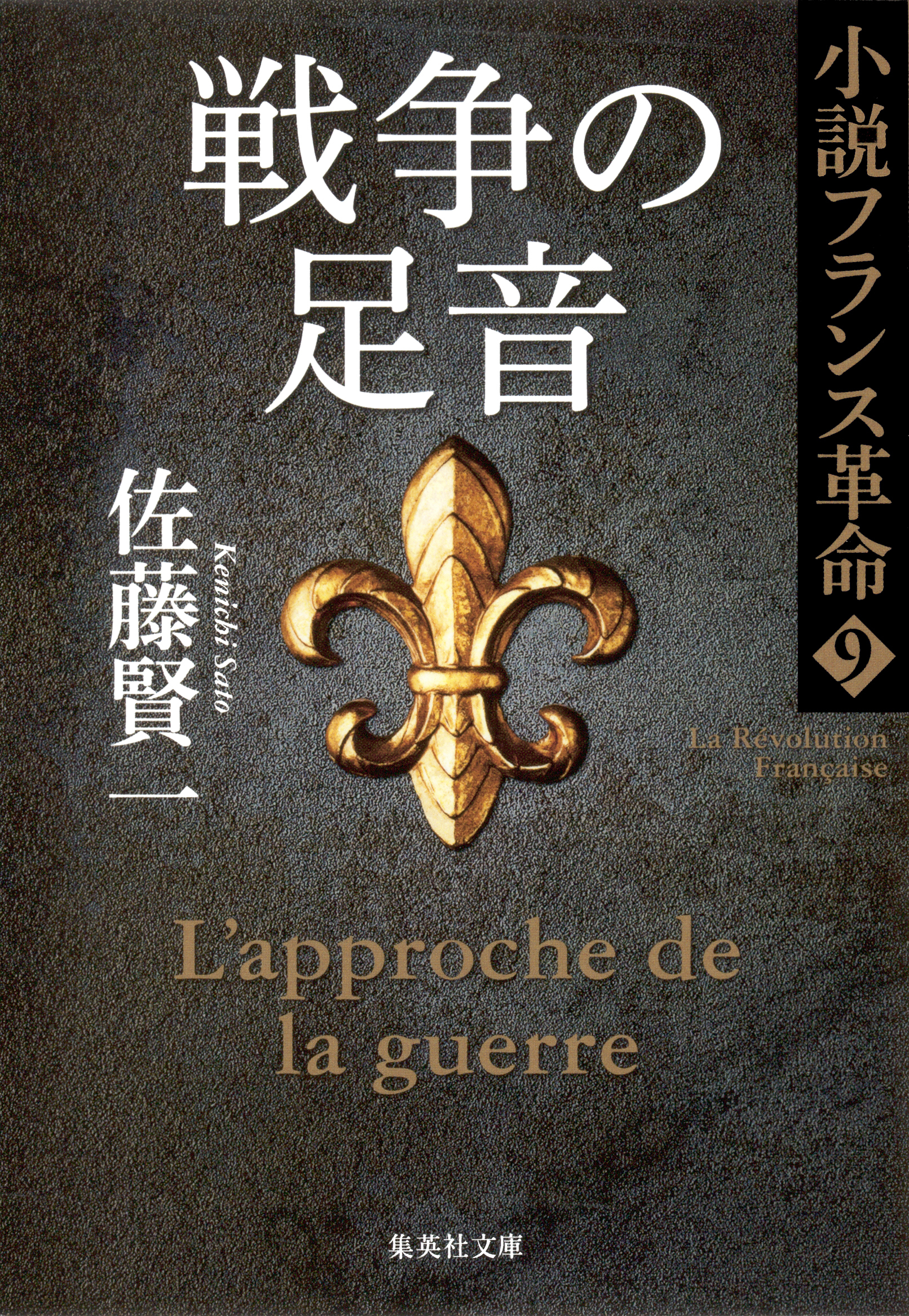 戦争の足音　小説フランス革命９