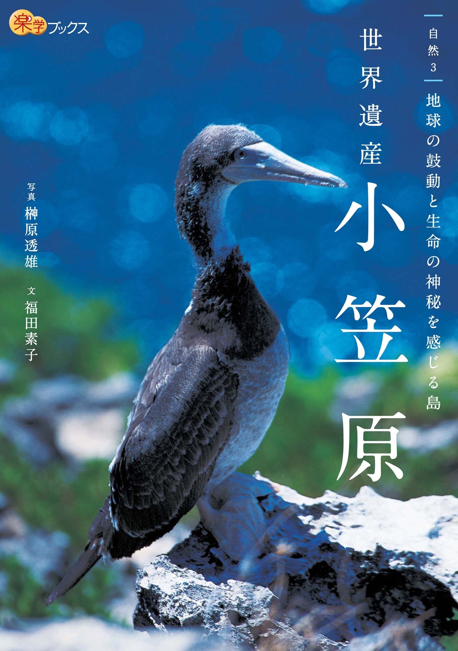 世界遺産 小笠原