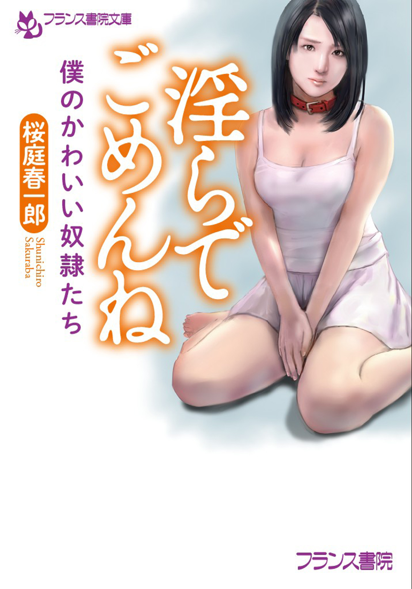 淫らでごめんね　僕のかわいい奴隷たち