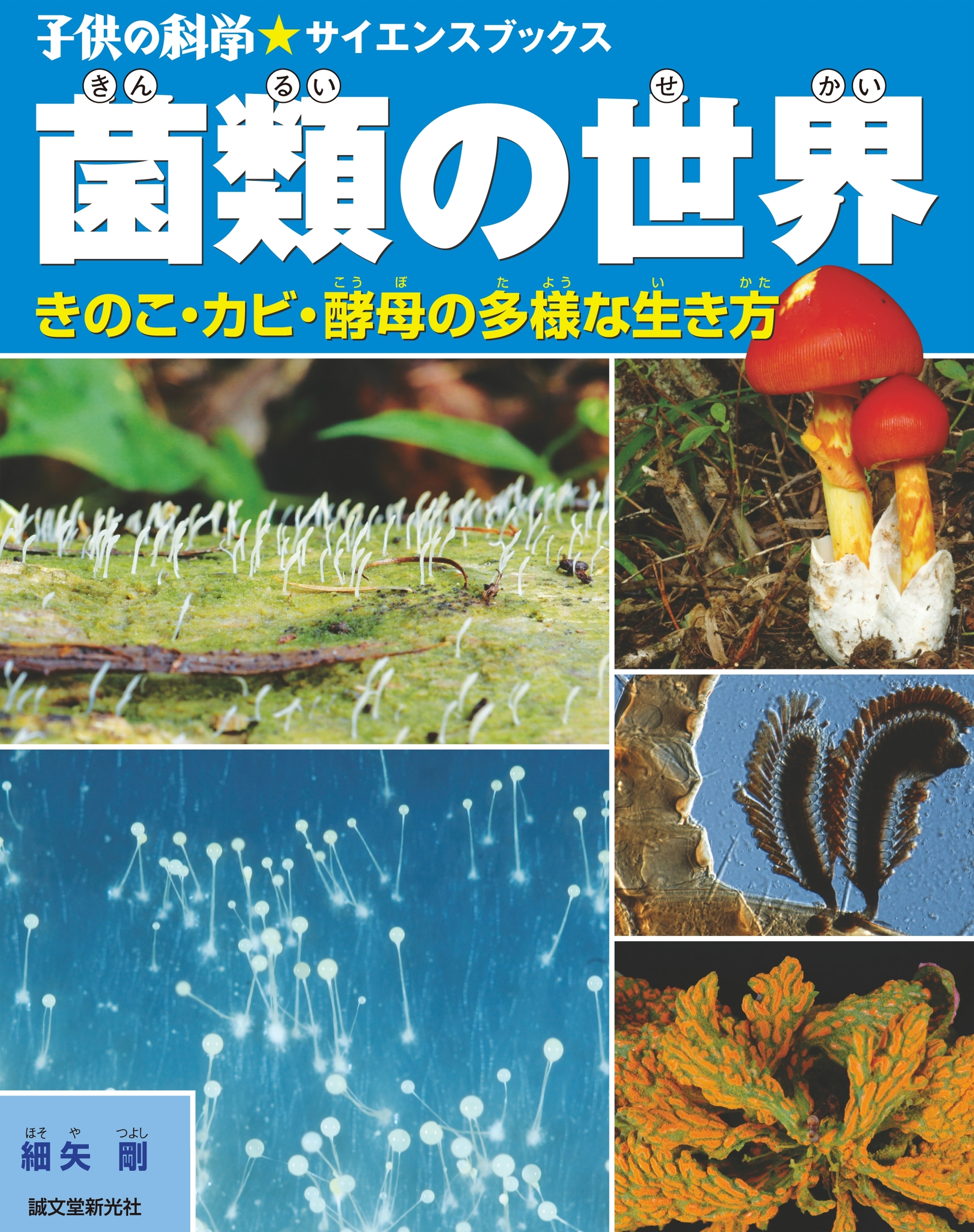 菌類の世界