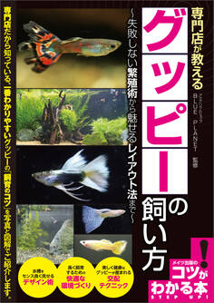 専門店が教える グッピーの飼い方 失敗しない繁殖術から魅せるレイアウト法まで