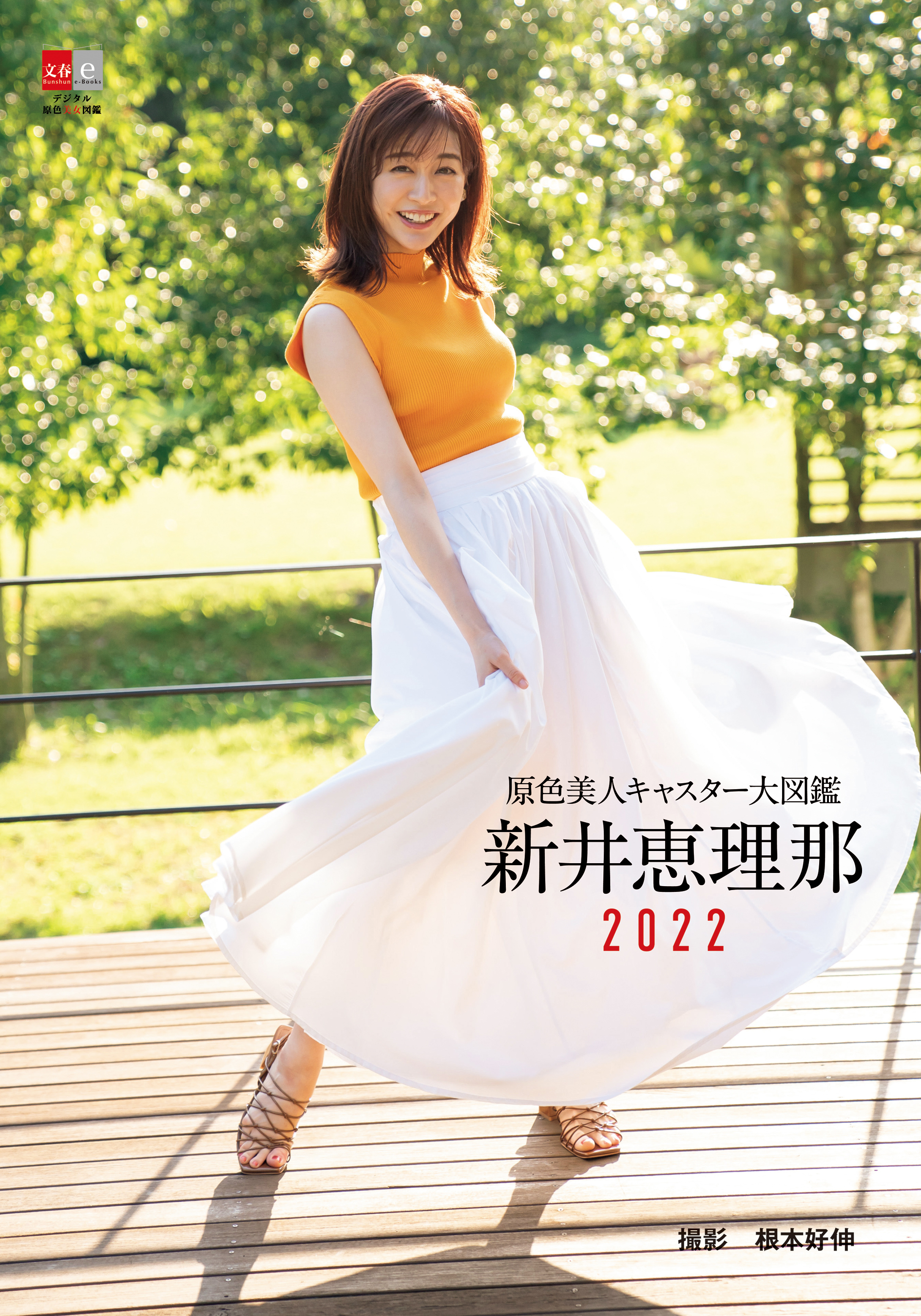 原色美人キャスター大図鑑　新井恵理那2022