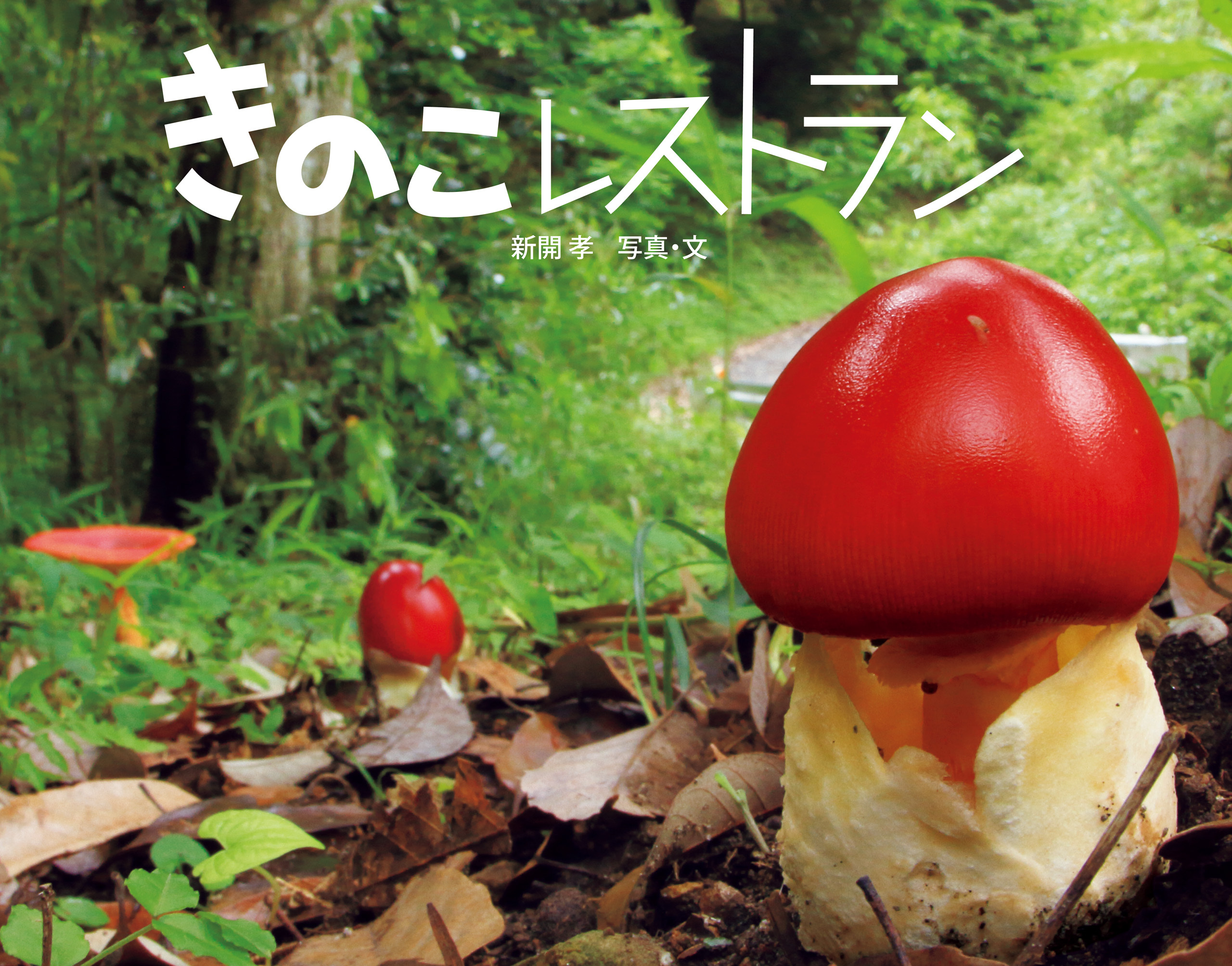 きのこレストラン