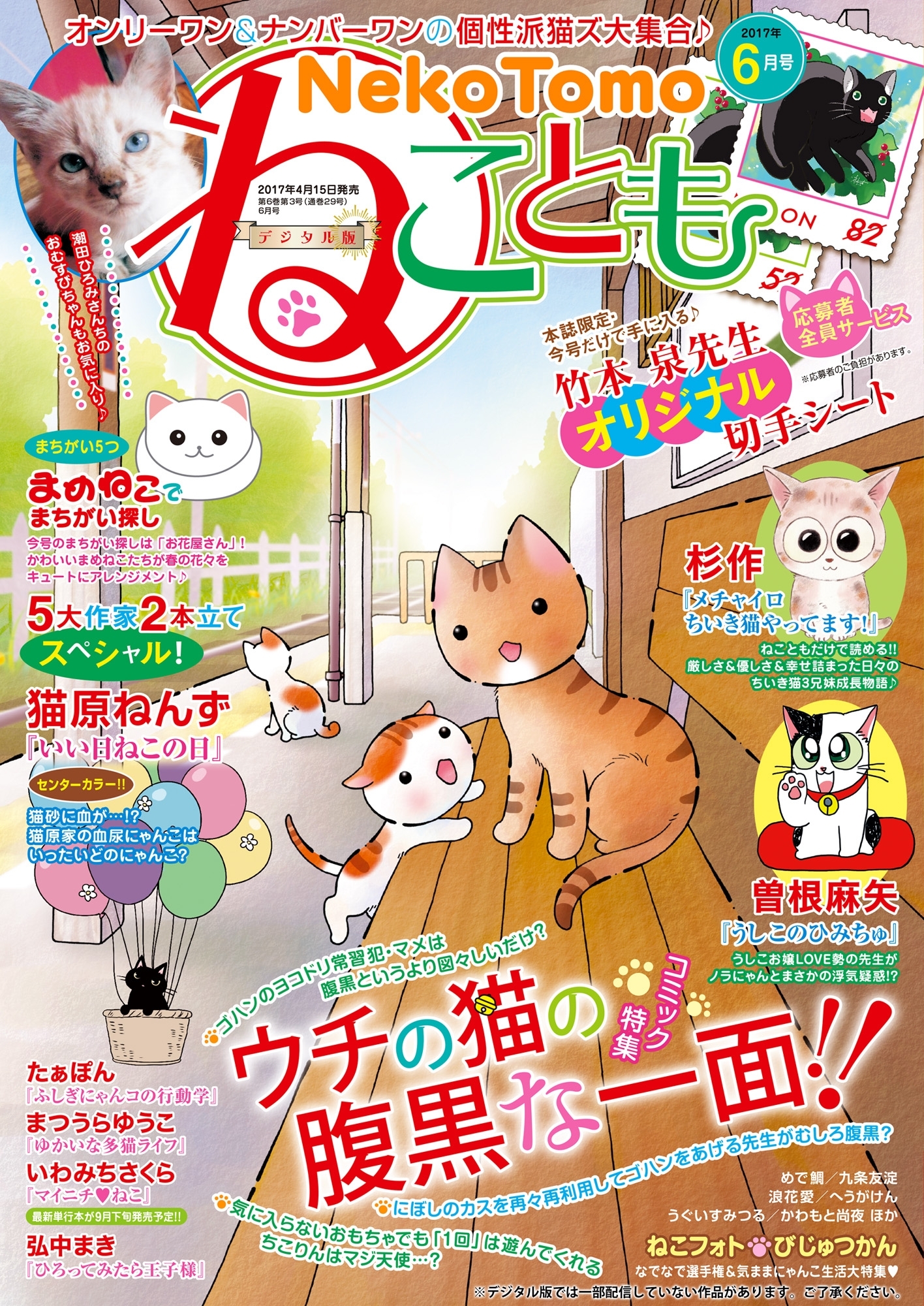 ねこともvol.49