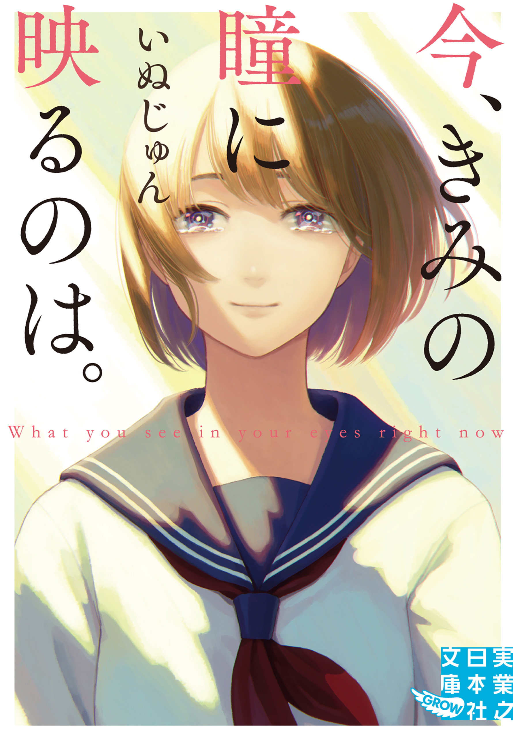 今、きみの瞳に映るのは。