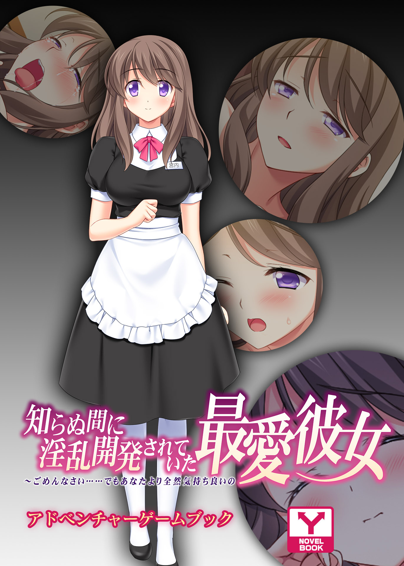 知らぬ間に淫乱開発されていた最愛彼女 ～ごめんなさい……でもあなたより全然気持ち良いの～　アドベンチャーゲームブック